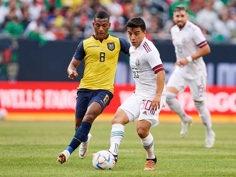 Mexico vs Ecuador lượt cuối bảng B Copa America 2024


