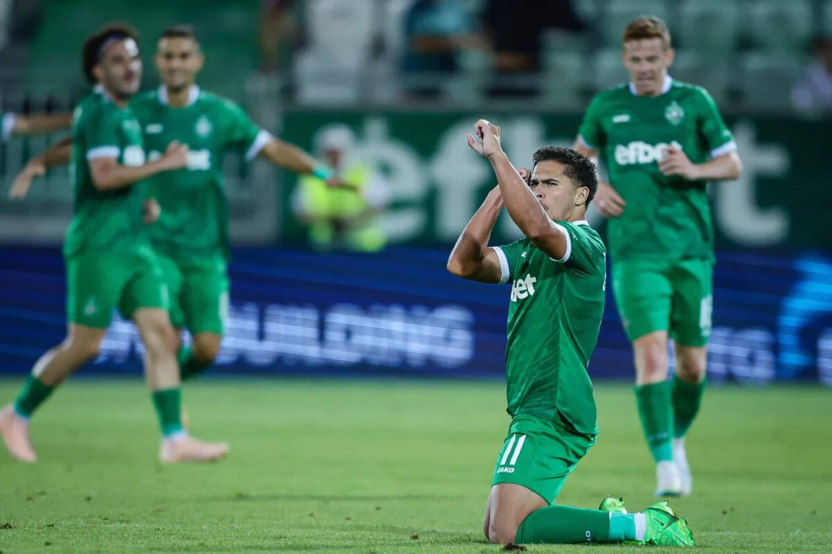 Ludogorets vs Petrocub