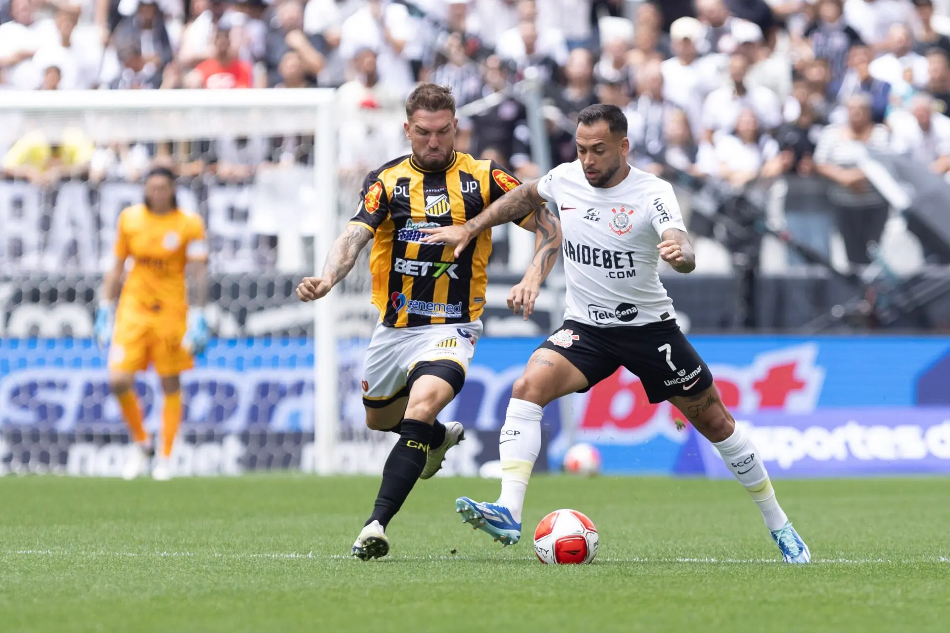 Novorizontino vs Botafogo SP