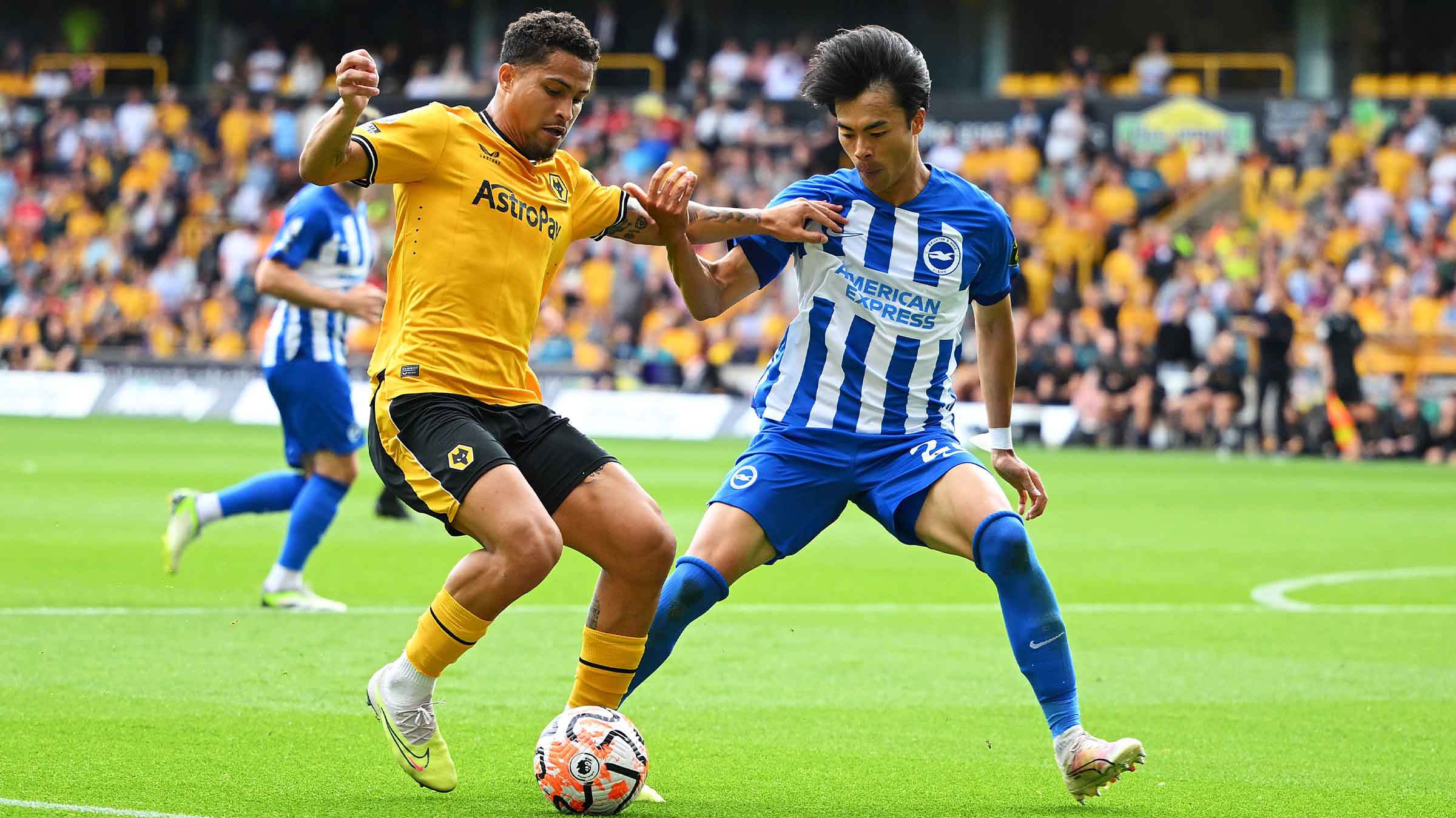 Nhận định Brighton vs Wolves 01h45 ngày 19/9 (Cúp Liên đoàn Anh 2024/25)