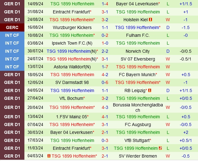 Thành tích gần đây của Hoffenheim
