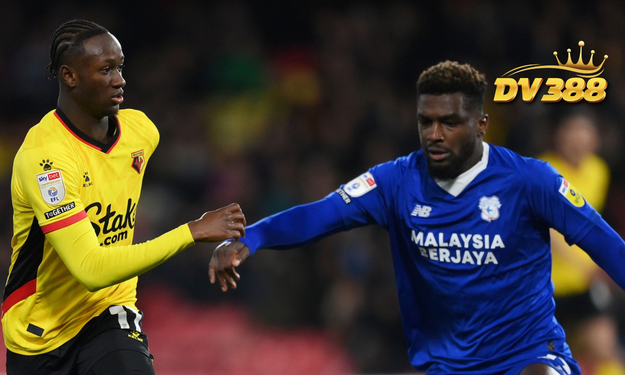 Nhận định bóng đá Watford vs Cardiff 22h00 ngày 29/12 (Hạng nhất Anh 2024/25)