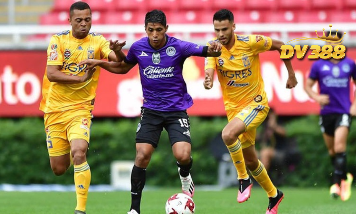 Nhận định bóng đá Tigres UANL vs Mazatlan 10h00 ngày 18/1 (VĐQG Mexico 2024/25)