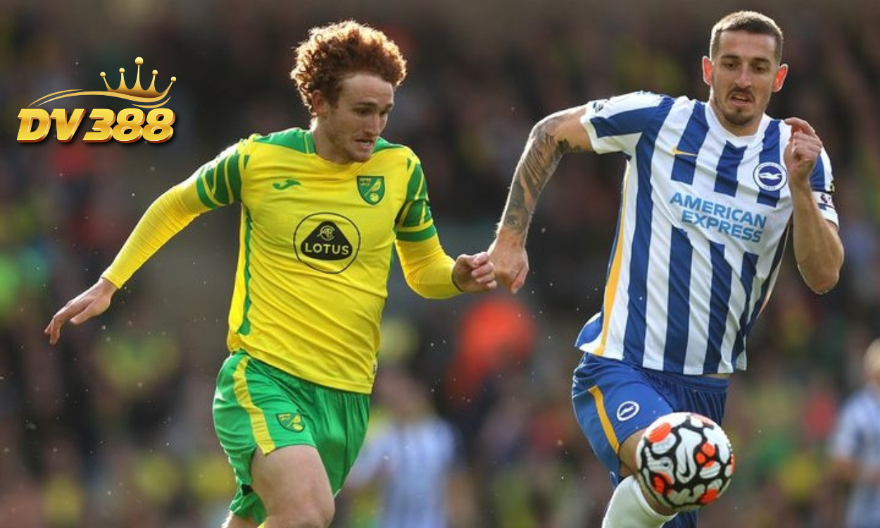 Nhận định Norwich vs Brighton (22h00 ngày 11/1): Không dễ bắt nạt Chim hoàng yến